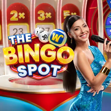 The Bingo Spot